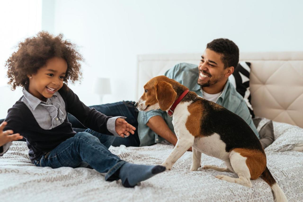 La Clef Champs-Elysees Paris By The Crest Collection Eksteriør billede A family with a dog